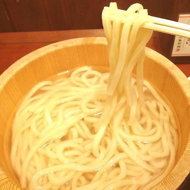 Udon|Fuji Hideさん