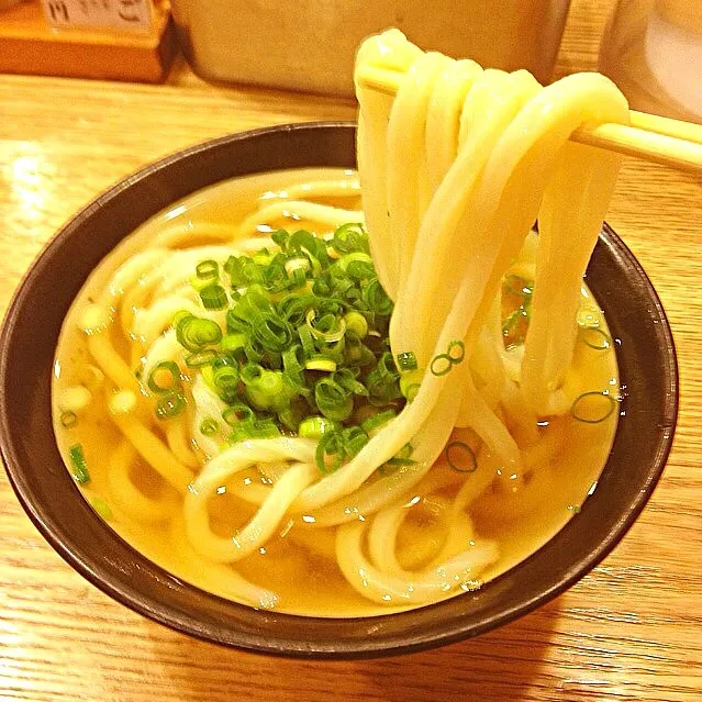 Udon|Fuji Hideさん