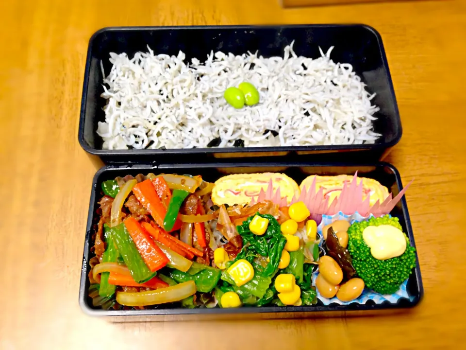 Snapdishの料理写真:お父さんの、お弁当|くりちさん