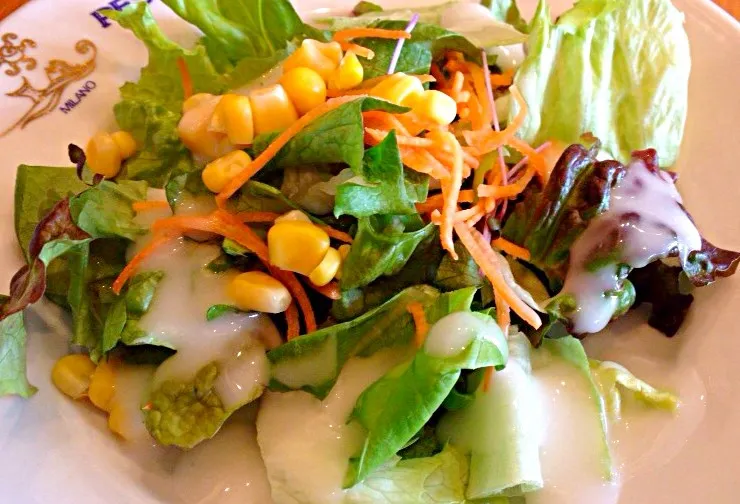 Fresh Vegie Salad|Liezlさん