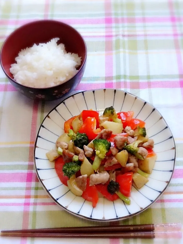 カラフル野菜と豚肉炒めプレート|さとう かおりさん