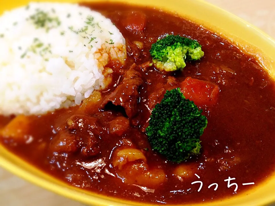 カレーに見えるけどビーフシチュー♫|うっちーさん