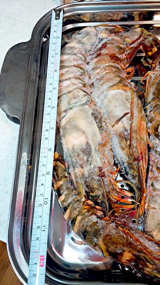 Snapdishの料理写真:giant lobster 28cm|josephさん