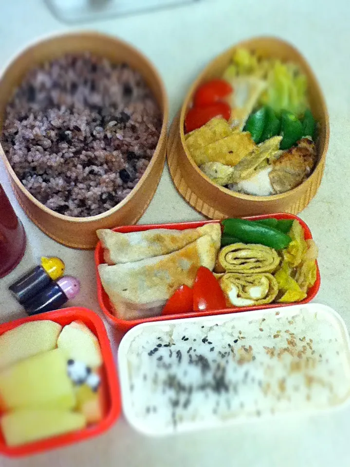 Today's lunch box. 手作りで餃子いますw|hoppycowさん