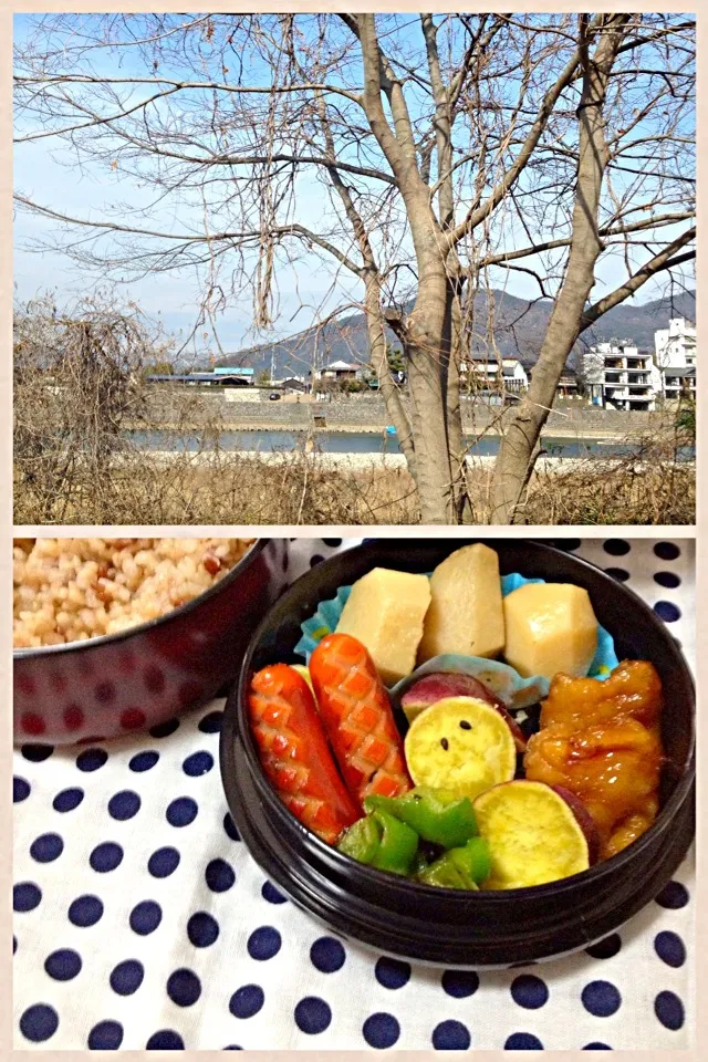 Snapdishの料理写真:今日のお弁当 1月28日☀|あくびさん