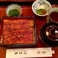 Snapdishの料理写真:鰻専門店 蒲焼 はま吉 上うな重|Tomohiro Wagaさん