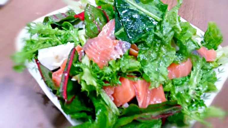 salad with salmon.
olive oil, salt, salad, salmon, valsamiko|Dongwook Goさん