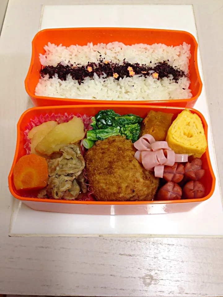 旦那君のお弁当|mahirooujiさん