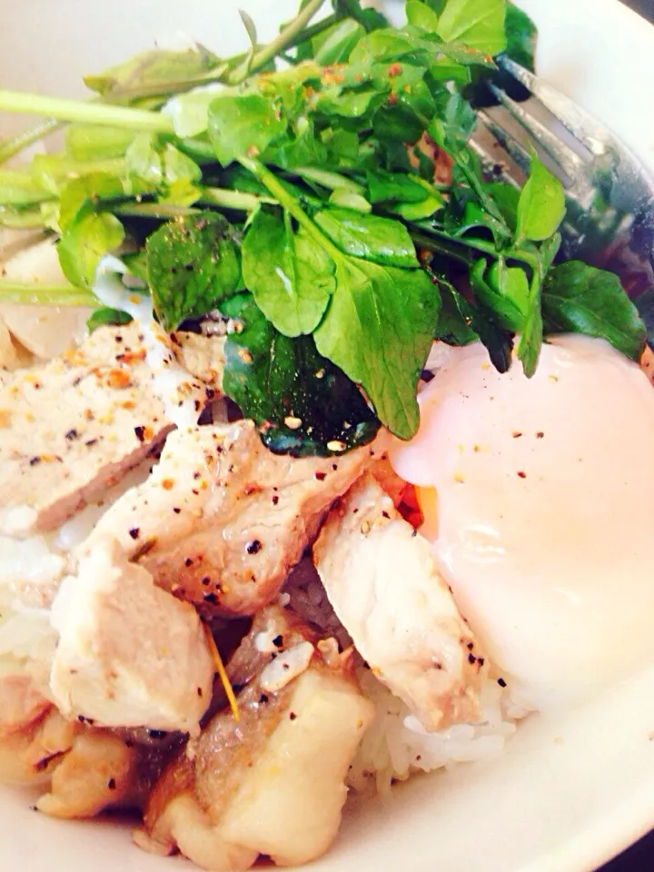 pork rice bowl|eliseさん