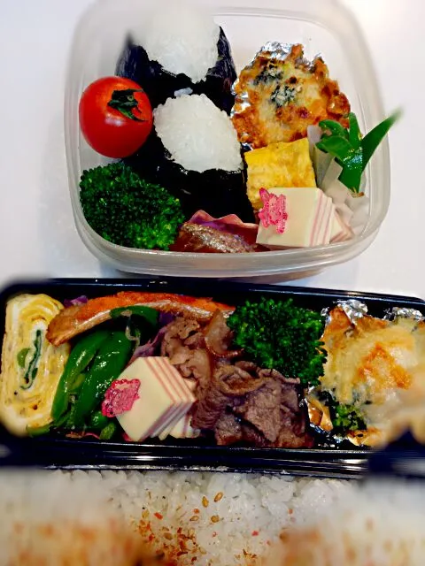 りょうちん&とーさんのお弁当 1/30|くみ。さん