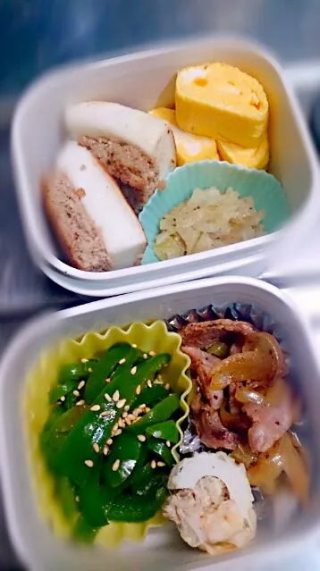 Snapdishの料理写真:お弁当:*:・(*´ω`pq゛|えびぱんさん