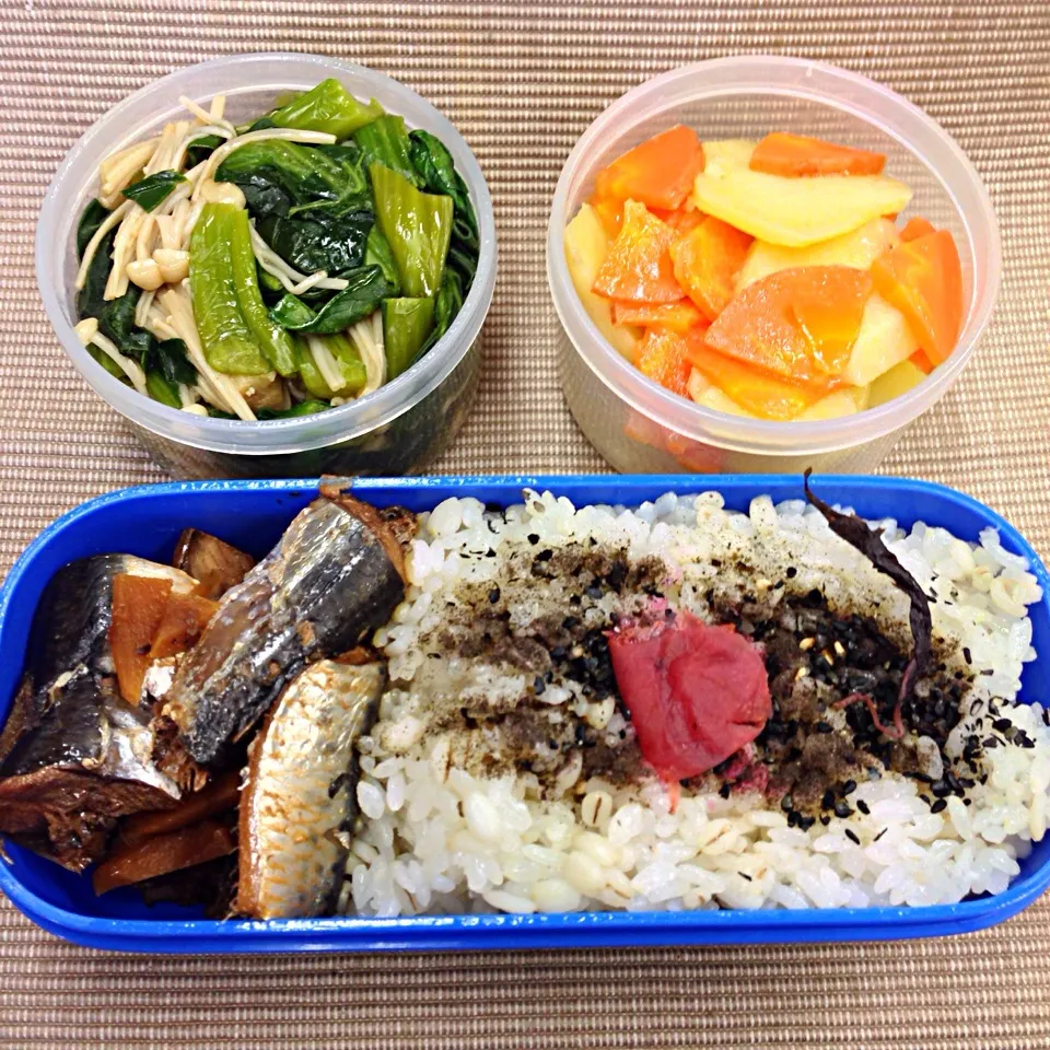 イワシと野菜のお弁当|Yoko Hayashiさん