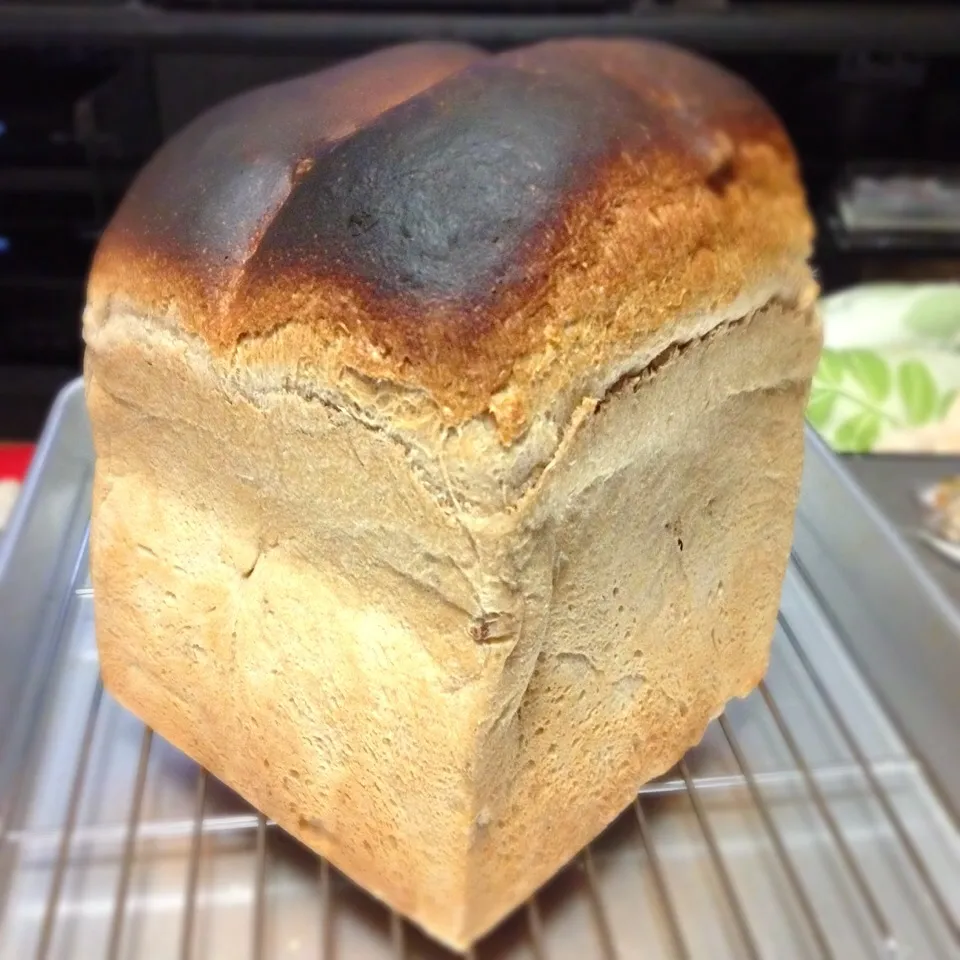 クルミ入り黒糖食パン、焼けました🍞|にょんにいさん