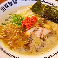 新宿二丁目つけめんGACHI 極鶏ラーメン|まるもさん