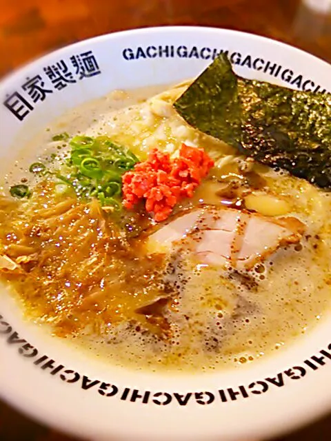 新宿二丁目つけめんGACHI 極鶏ラーメン|まるもさん