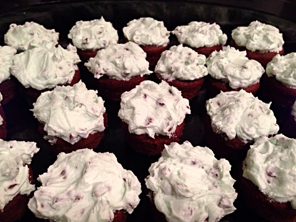 Chocolate cupcakes with mint chocolate chip frosting|Martha P.さん