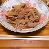 牛丼|はやたさん