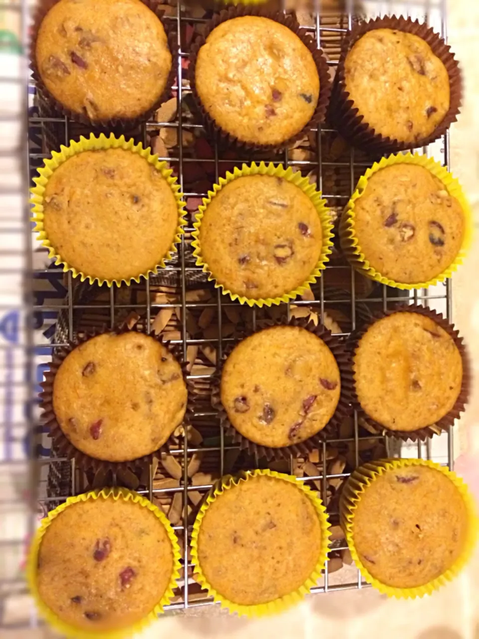 Gluten Free & Vegan Orange & Cranberries Muffins|JJさん