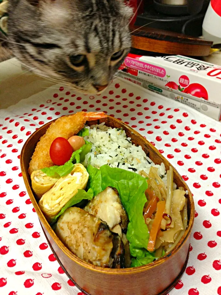 Snapdishの料理写真:2月3日お弁当…|Kumi Satouさん