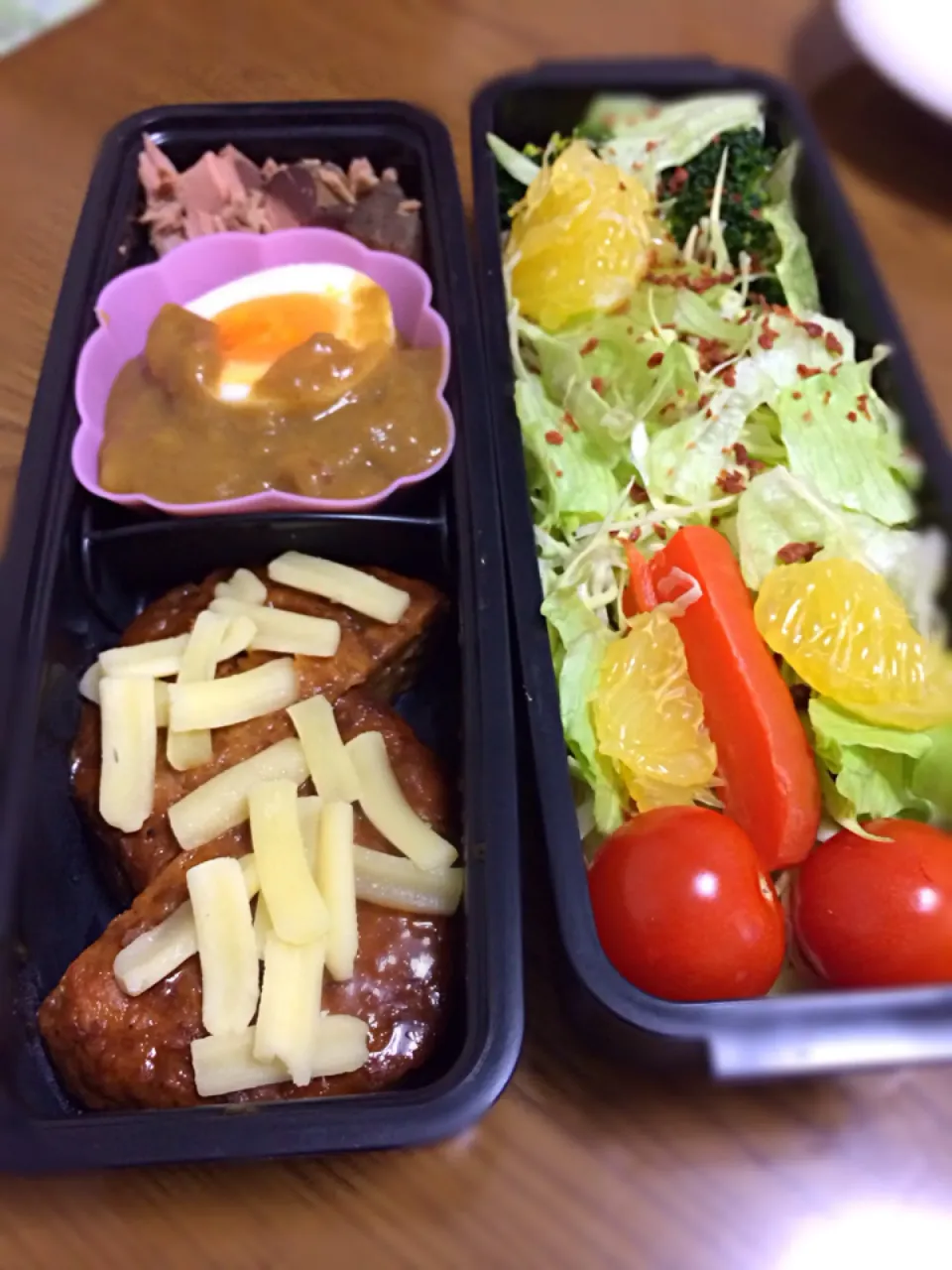 ２月最初の弁当|wildcat山猫さん