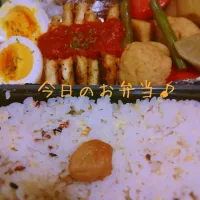 Snapdishの料理写真:今日のｵｯﾄさんのお弁当♪|いおり高橋さん