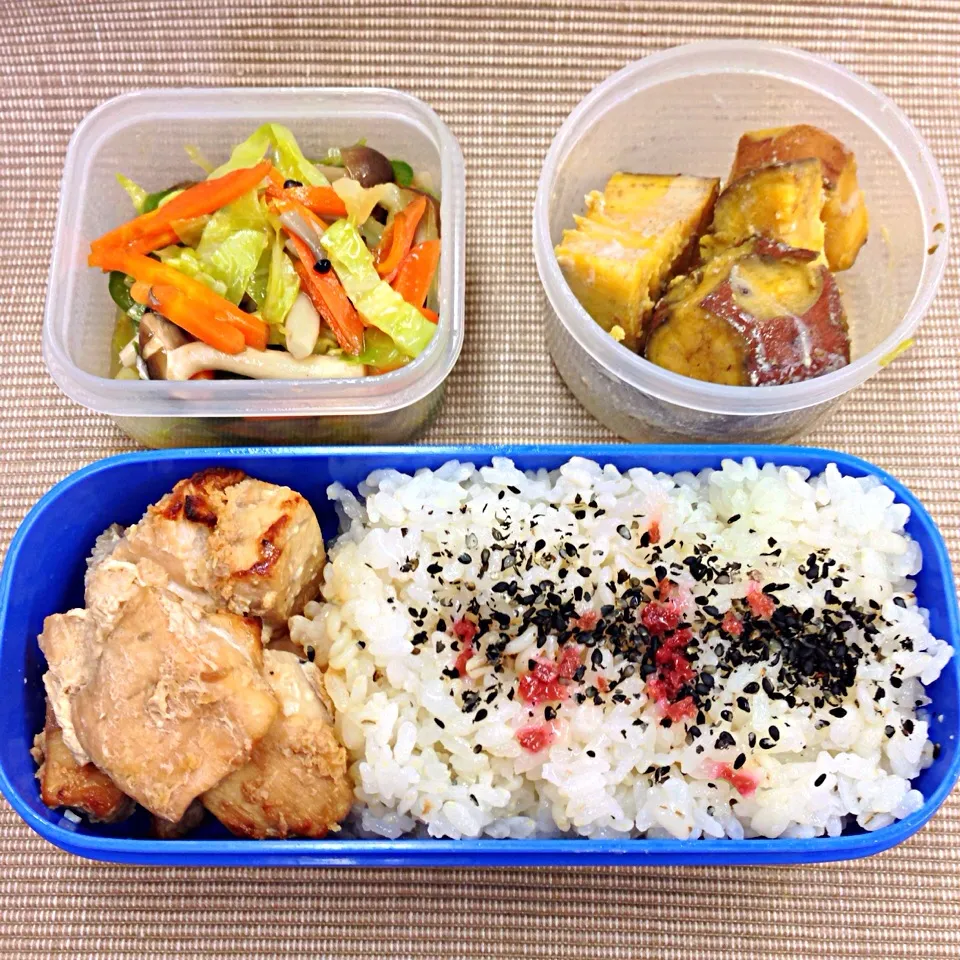 カジキと野菜のお弁当|Yoko Hayashiさん