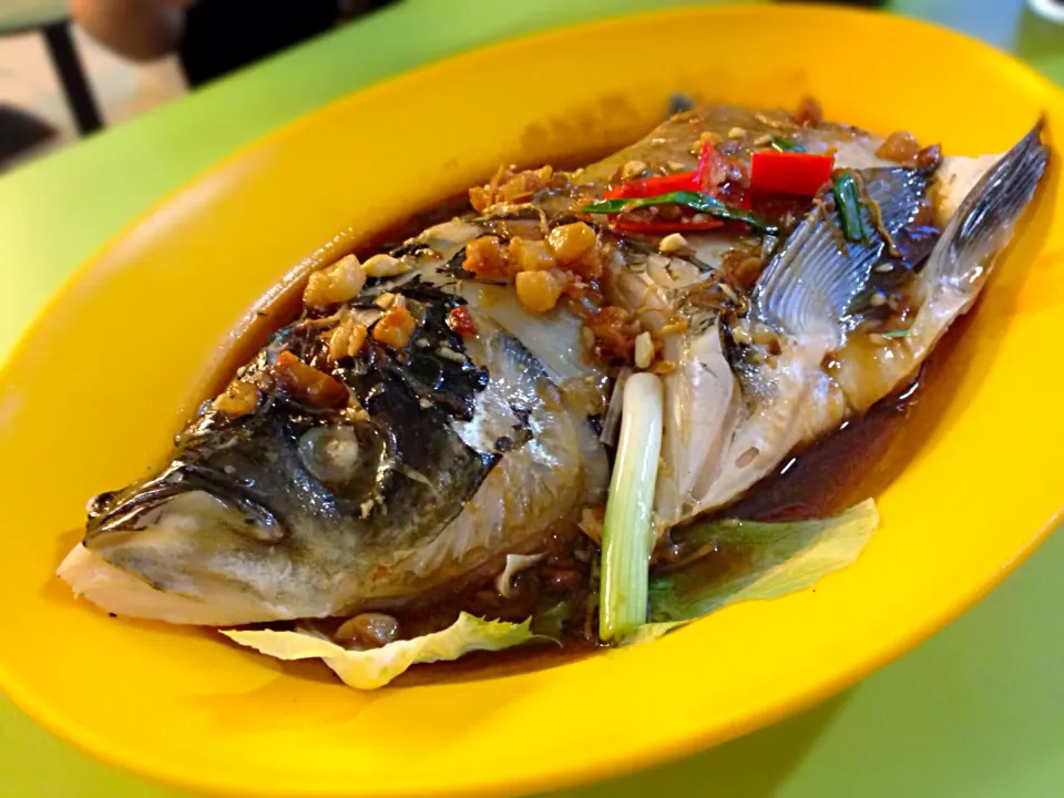 steamed fish head|willzさん