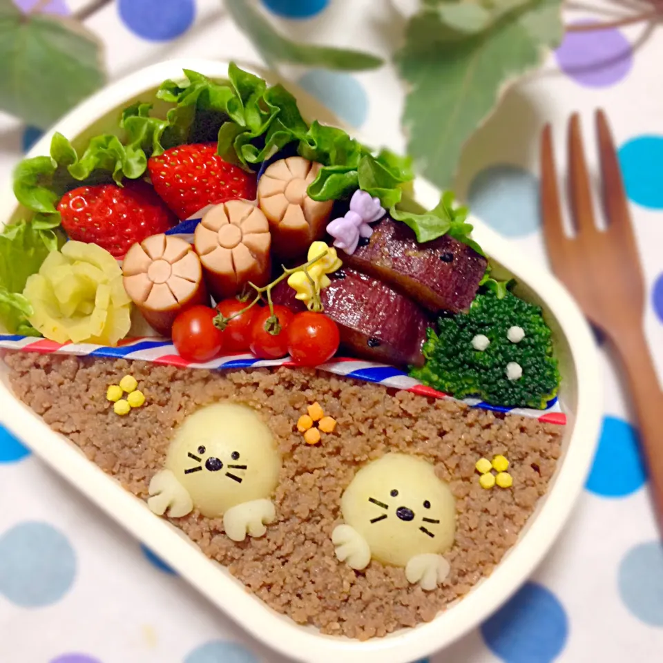 Snapdishの料理写真:モグラさん弁当♡|chihoさん