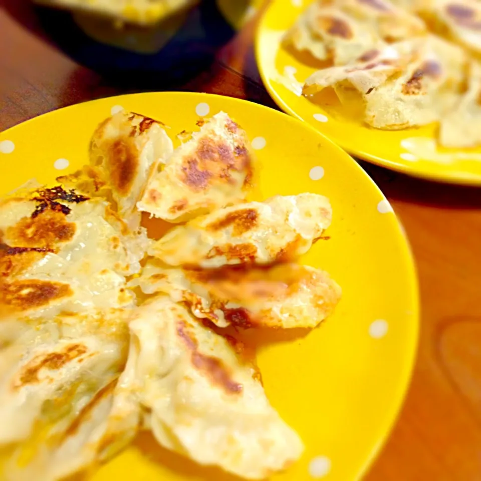 Snapdishの料理写真:Homemade Gyoza|Chibiko's Kitchenさん