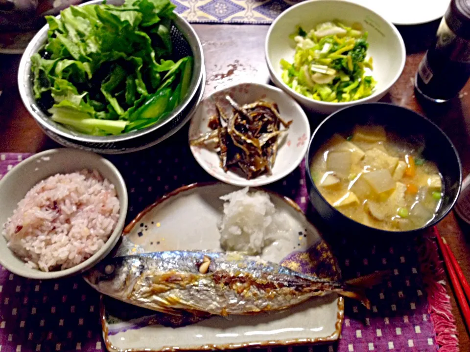 Snapdishの料理写真:鯵の塩焼き 根菜と揚げの味噌汁 サラダ カブの葉の糠漬け|掛谷節子さん