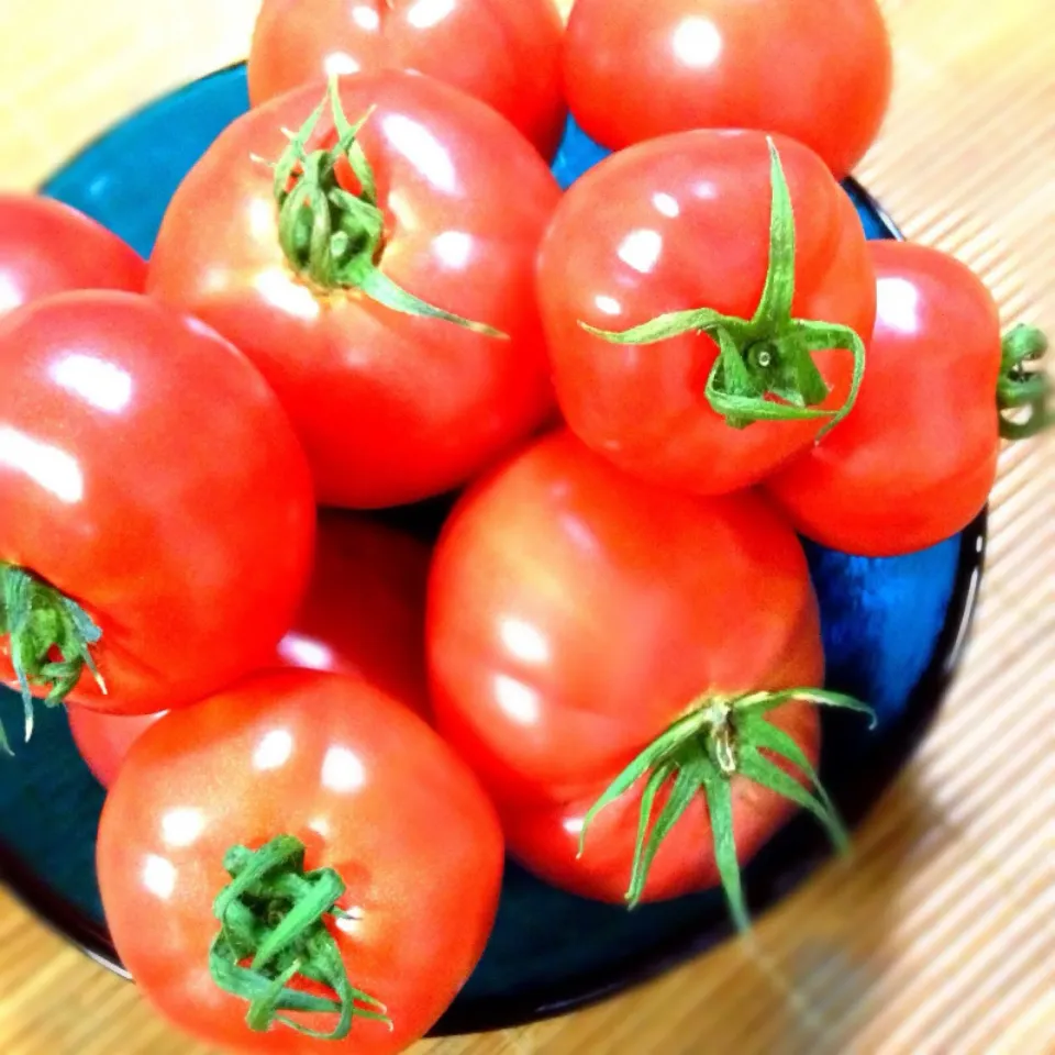 会社で採れたハウストマト🍅|ファンメイ🌺さん