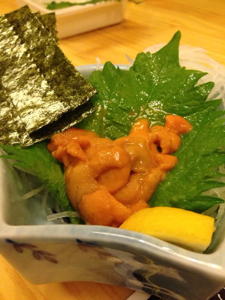 |Yuta Katayamaさん