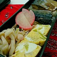 Snapdishの料理写真:毎日のお弁当|Natsuyo Takahashiさん