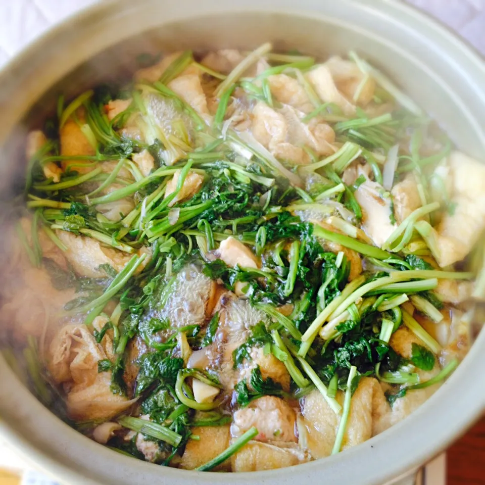 Snapdishの料理写真:鶏と牛蒡とセリ鍋🍲|ペン太トニックさん