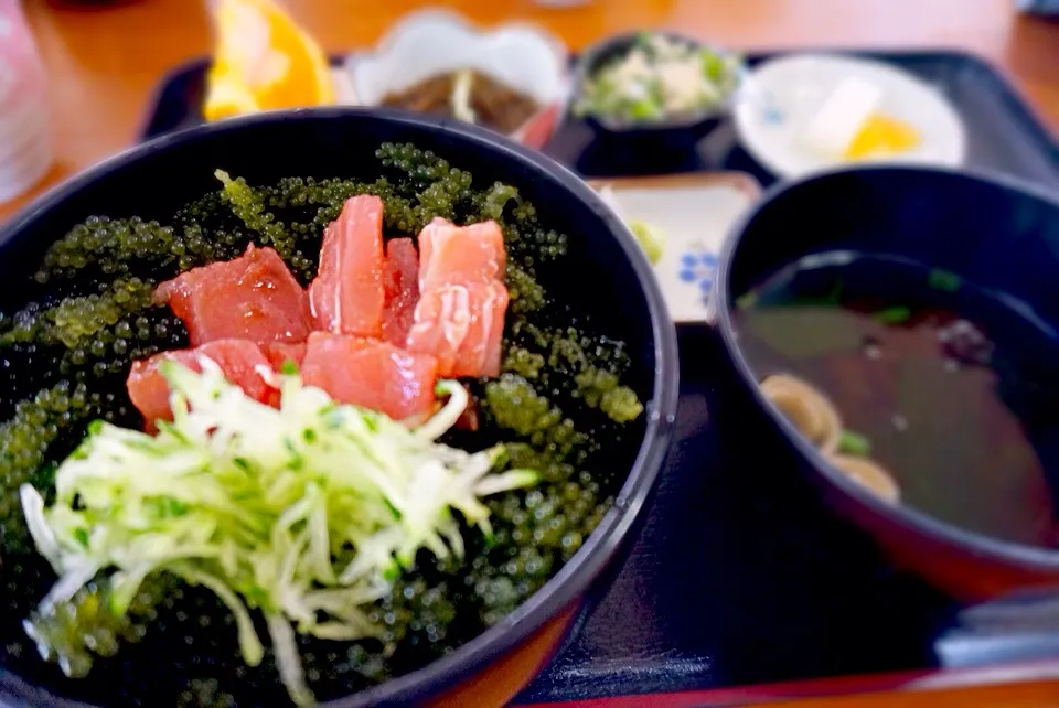 海ぶどう丼(^-^)|いしぃむしぃさん