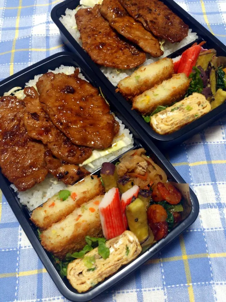 Snapdishの料理写真:14,2,6 男子高校生弁当|yukiさん