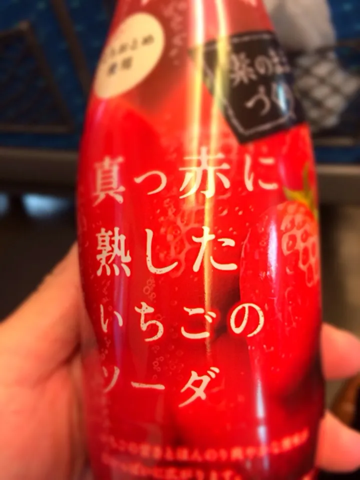 真っ赤に熟したいちごのソーダ。ファンタっぽい口当たりだけど果汁10％なのでとちおとめがチラッと感じられるかなぁ。お店で出したらいいかも|土屋幸治さん