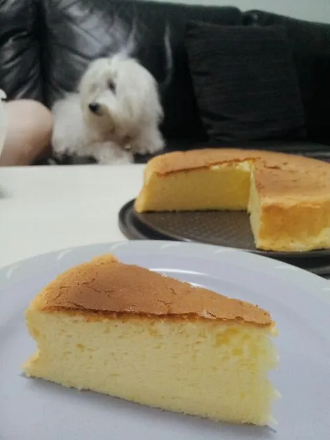 Snapdishの料理写真:Japanese Cotton Cheesecake|Shannonさん