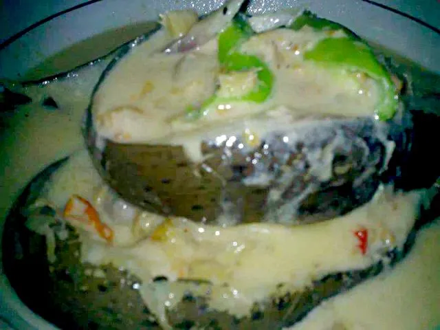 eel with spicy coconut milk|Dan Alfred Garcia Madriagaさん