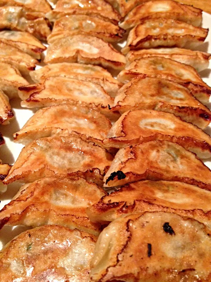 餃子専門店のぎょうざ♪|osayanさん