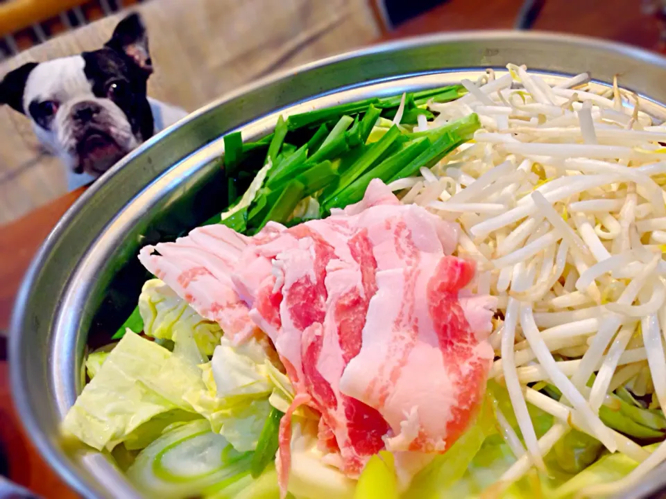 濃厚味噌鍋🍲＆タケル🐶|おかっぴーさん