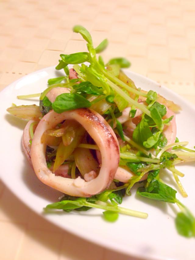 献立がすぐ決まる セロリと山椒で作る料理 レシピ21のアイディア Snapdish スナップディッシュ