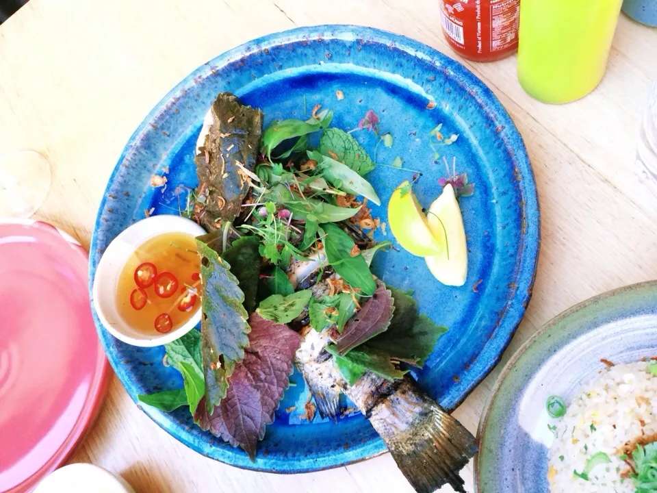 Grilled Whole Fish with Herbs|stephanie mizuhaさん