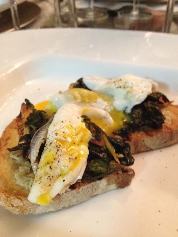 Grilled bread with Fontina Cheese, Swiss Chard, anchovies and Poached Egg|Christine pavelkaさん