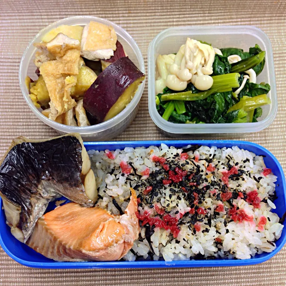 鯖、鮭 DHA.EPA お弁当|Yoko Hayashiさん