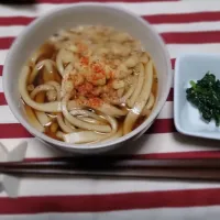 かけうどん～|mxknkさん