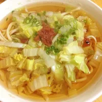 Snapdishの料理写真:梅と白菜の和風うどん|ゆきブヒさん