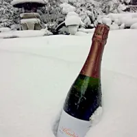 すごい雪なので…庭でキンキンにシュワシュワ冷やし中(≧∀≦)