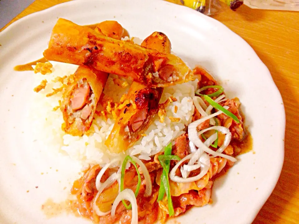 Crispy pork Roll, with Tomas Sauce, and slice chili green on top and crispy onion.|Jefferson M. Macalindongさん