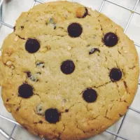 Peanut butter chocolate chip cookies|BO ZOさん